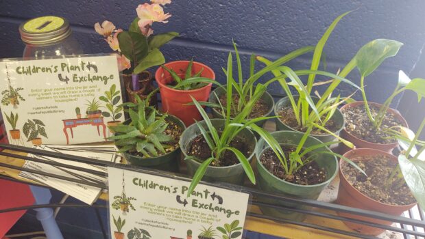 The Children’s Plant Exchange is an innovative new program at the Oliver La Farge Branch of the Santa Fe Public Library where children can receive small plant “starts”. Recently Kelly […]